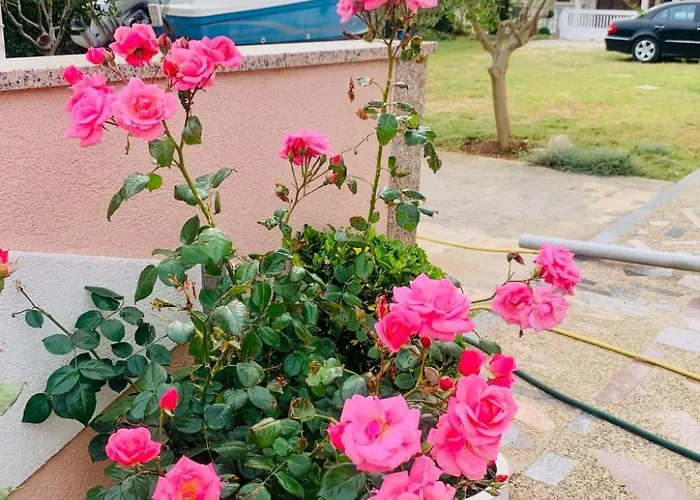 Barbara By Interhome Apartment *