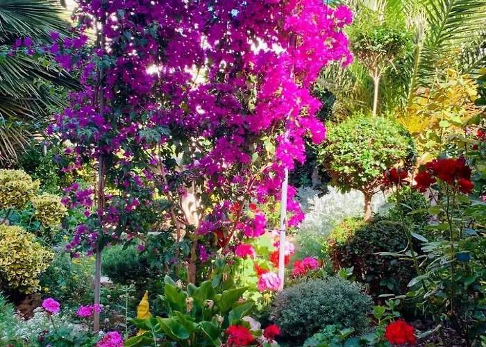 Barbara By Interhome Apartment