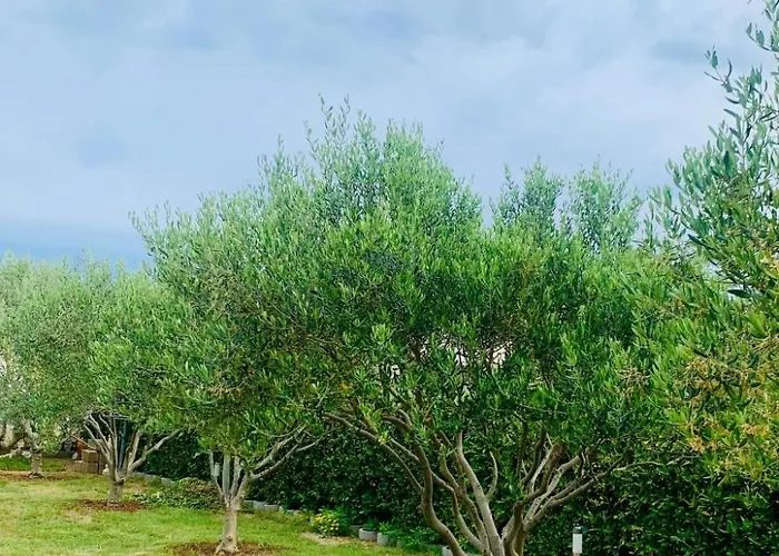 Barbara By Interhome Apartman